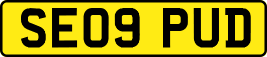SE09PUD