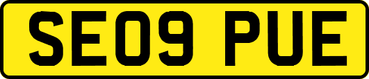 SE09PUE