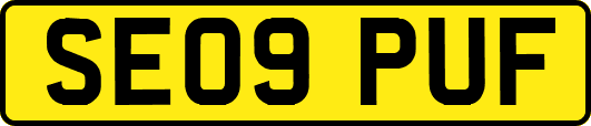 SE09PUF