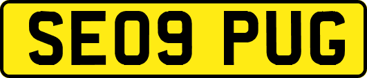 SE09PUG
