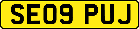SE09PUJ