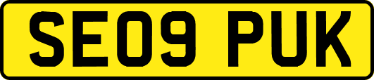 SE09PUK