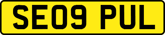 SE09PUL