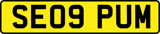 SE09PUM