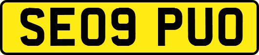 SE09PUO
