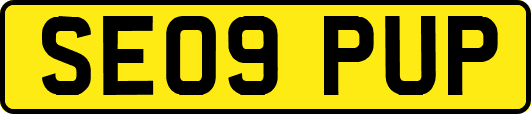 SE09PUP