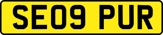 SE09PUR