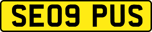 SE09PUS