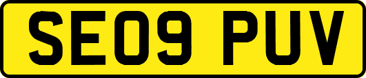 SE09PUV