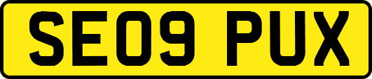 SE09PUX