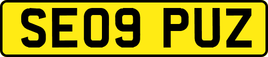 SE09PUZ