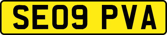 SE09PVA