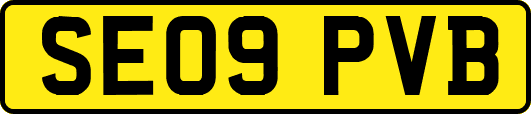 SE09PVB