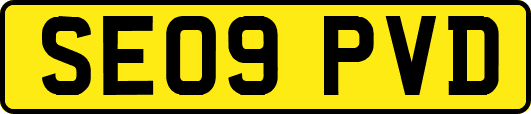 SE09PVD