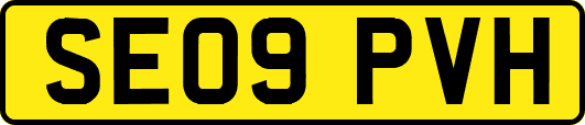 SE09PVH
