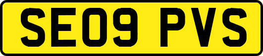 SE09PVS