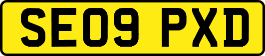 SE09PXD