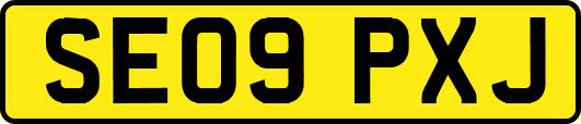SE09PXJ