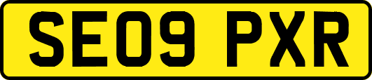 SE09PXR