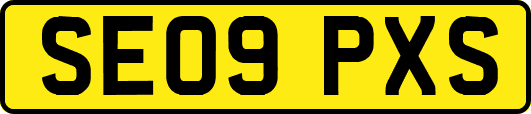 SE09PXS