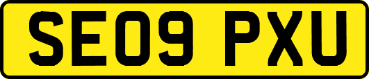 SE09PXU