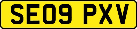 SE09PXV