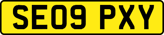 SE09PXY