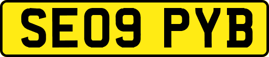 SE09PYB