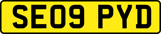 SE09PYD