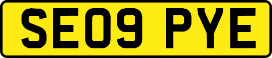 SE09PYE