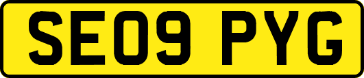 SE09PYG