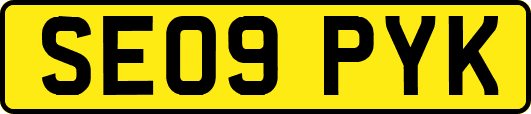 SE09PYK