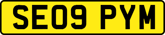 SE09PYM