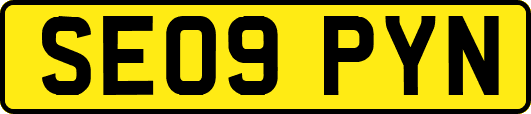 SE09PYN
