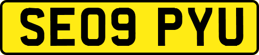 SE09PYU