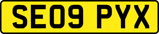 SE09PYX