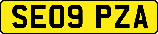 SE09PZA