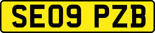 SE09PZB