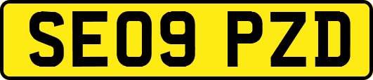SE09PZD