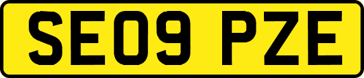 SE09PZE