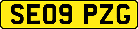 SE09PZG