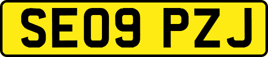 SE09PZJ