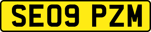 SE09PZM