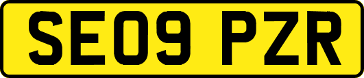 SE09PZR