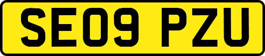 SE09PZU