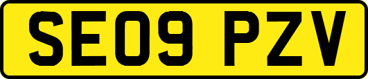SE09PZV