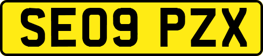 SE09PZX