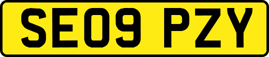SE09PZY