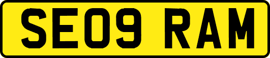 SE09RAM