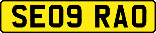 SE09RAO